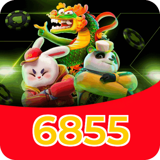 Níveis do programa VIP da 6855